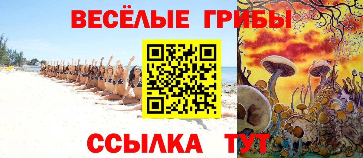 Псилоцибиновые грибы мицелий Ахтубинск